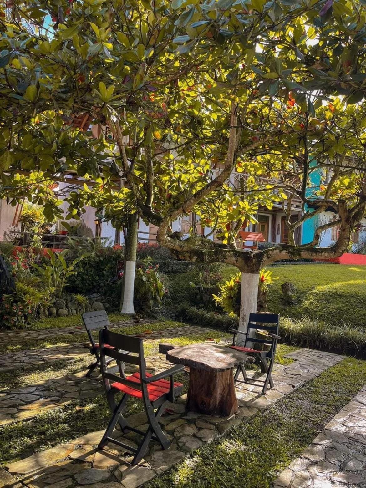 Finca Hotel Palmas Frente A Panaca Quimbaya Eksteriør bilde